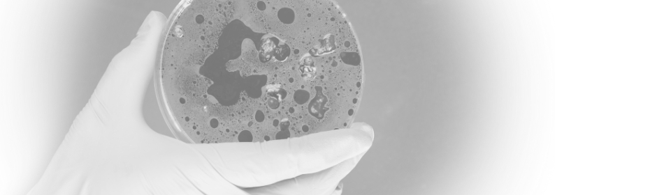 Σπάνιες Παθήσεις